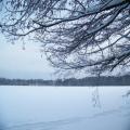 Winterblick von der Seestrasse (tn_100_4069.jpg) Zeesner See im Landkreis Dahme Spreewald